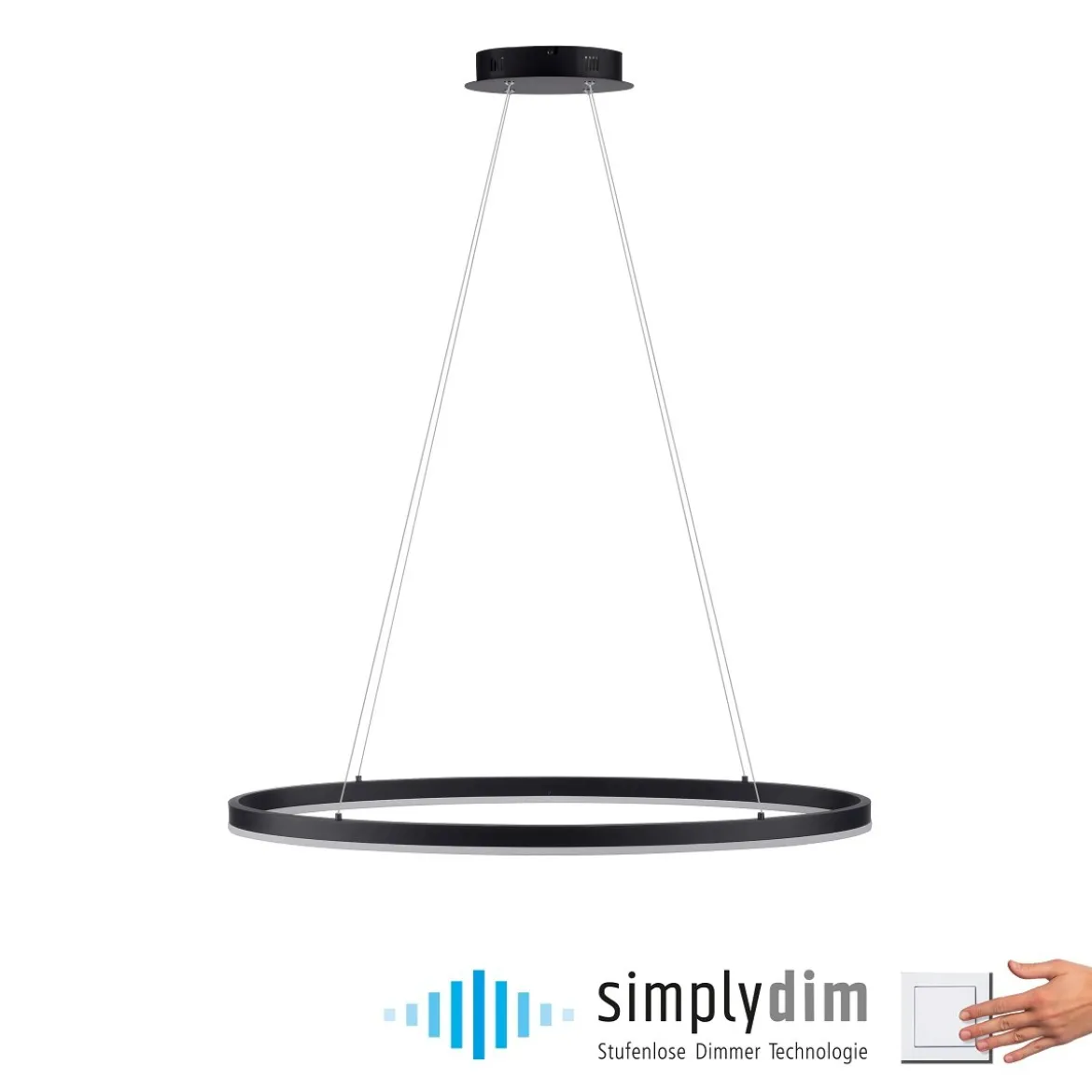 Paul Neuhaus 2392-13 Titus oval LED Pendelleuchte 80cm anthrazit Simply Dim