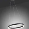Paul Neuhaus 2381-13 TITUS Pendelleuchte 40 anthrazit