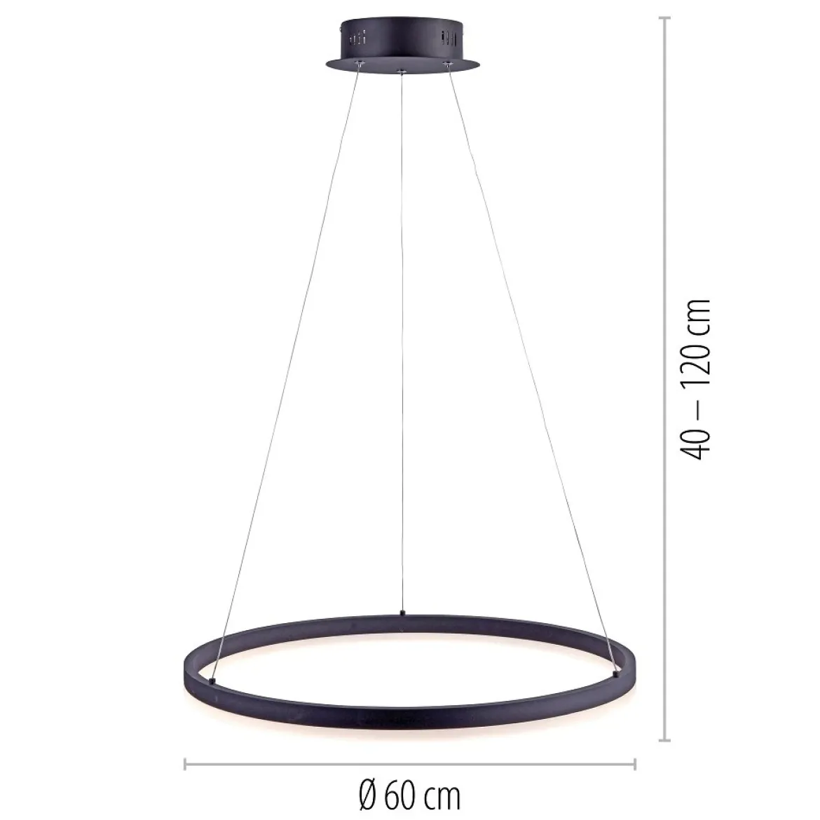 Paul Neuhaus 2382-13 TITUS Pendelleuchte 60 anthrazit