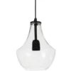 PR Home 1982100 Hängelampe Hamilton Klar schwarz 21cm