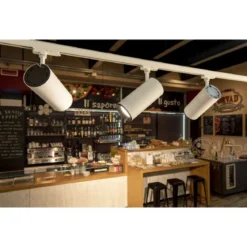SLV 1005806 NUMINOS® DALI XL 3 Phasen Spot weiß schwarz 36W 3000K 60°