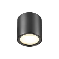 SLV 1008618 OCULUS Deckenaufbauleuchte rund 2000-3000K 11W Dim-to-Warm dunkel bronze
