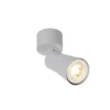SLV 1008291 PURI 2.0 Cone Wand- und Deckenleuchte 1-flammig grau GU10
