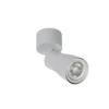 SLV 1008295 PURI 2.0 Dome Wand- und Deckenleuchte 1-flammig grau GU10
