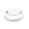 SLV 1005269 TCR TSE GX53 LED Lichtquelle weiß milchig 6W 4000K CRI90 120°