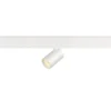 SLV 1006679 48V Track NUMINOS® XS Spot weiß 3000K 20°